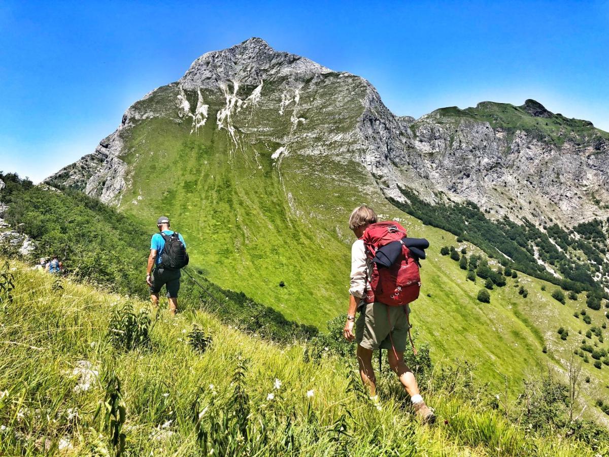 Belvedere Frühstückspension 3*