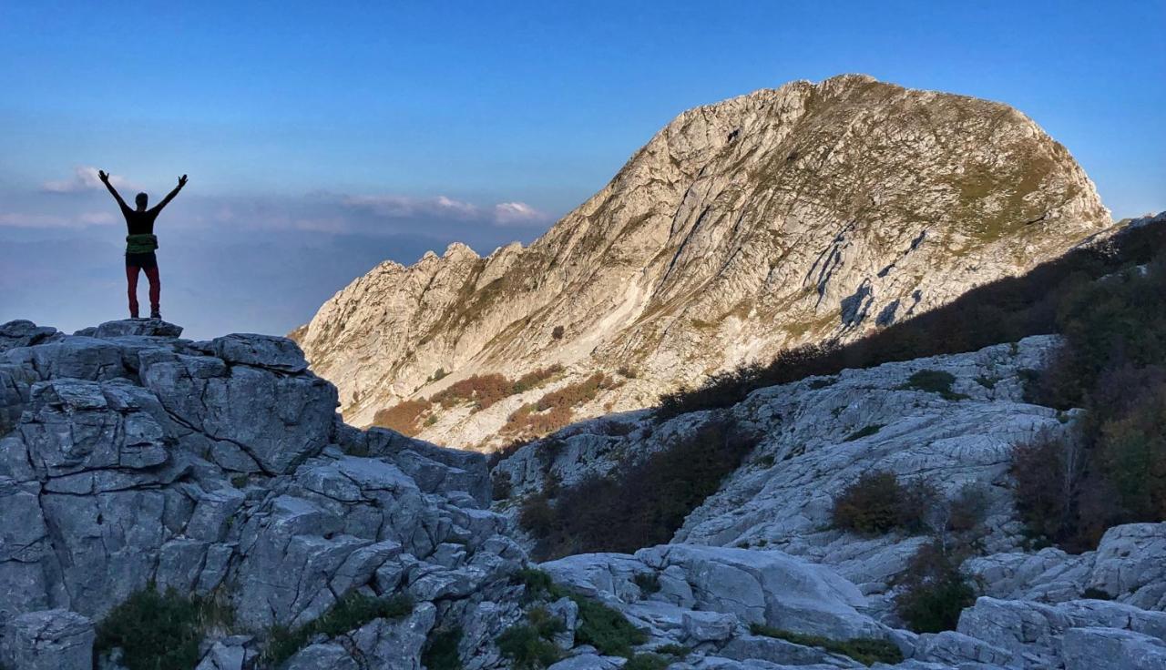 Belvedere Frühstückspension