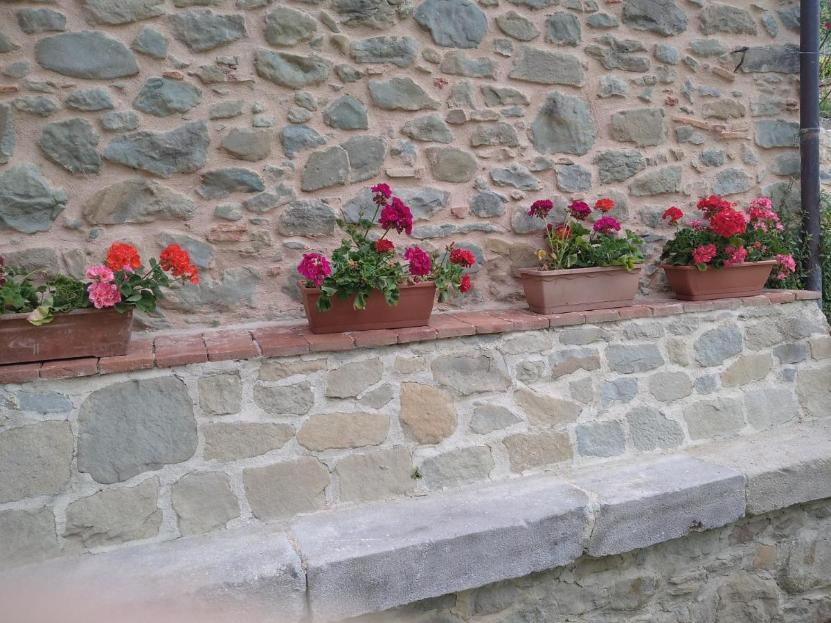Belvedere Frühstückspension Pieve Fosciana
