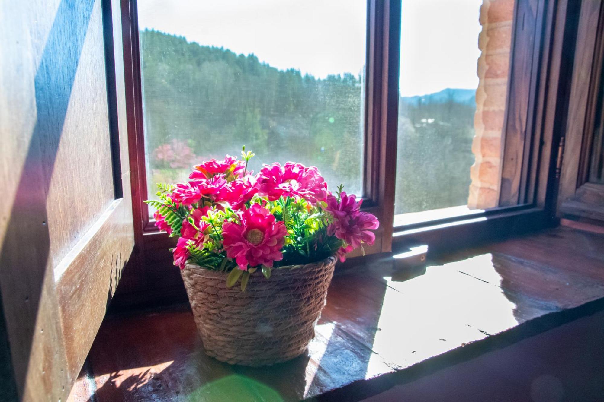 Bed & Breakfast Belvedere 3*