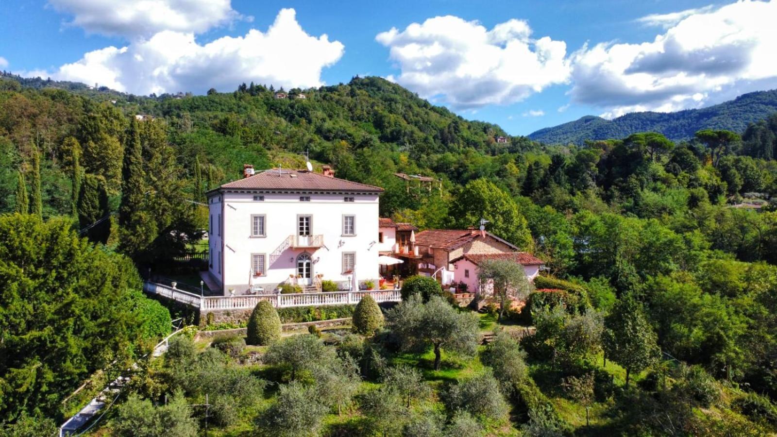 Belvedere